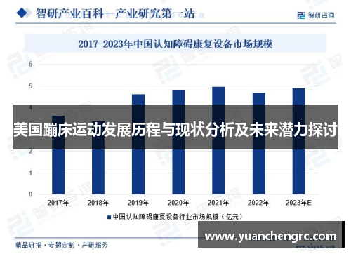 美国蹦床运动发展历程与现状分析及未来潜力探讨