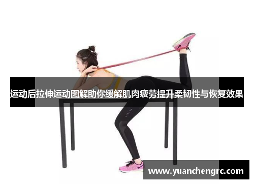 运动后拉伸运动图解助你缓解肌肉疲劳提升柔韧性与恢复效果