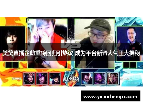 笑笑直播企鹅重磅回归引热议 成为平台新晋人气王大揭秘