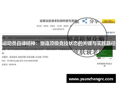运动员自律精神：塑造顶级竞技状态的关键与实践路径