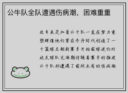 公牛队全队遭遇伤病潮，困难重重