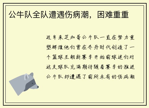 公牛队全队遭遇伤病潮，困难重重